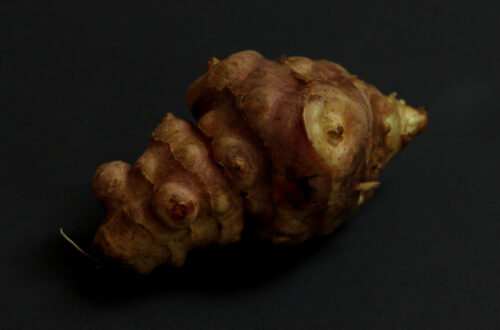 tupinambo