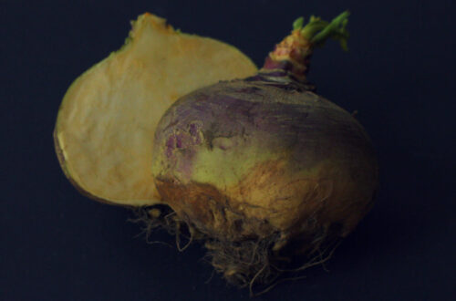 a qué sabe el nabicol?