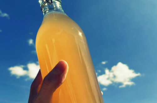 kombucha casera