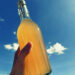 kombucha casera