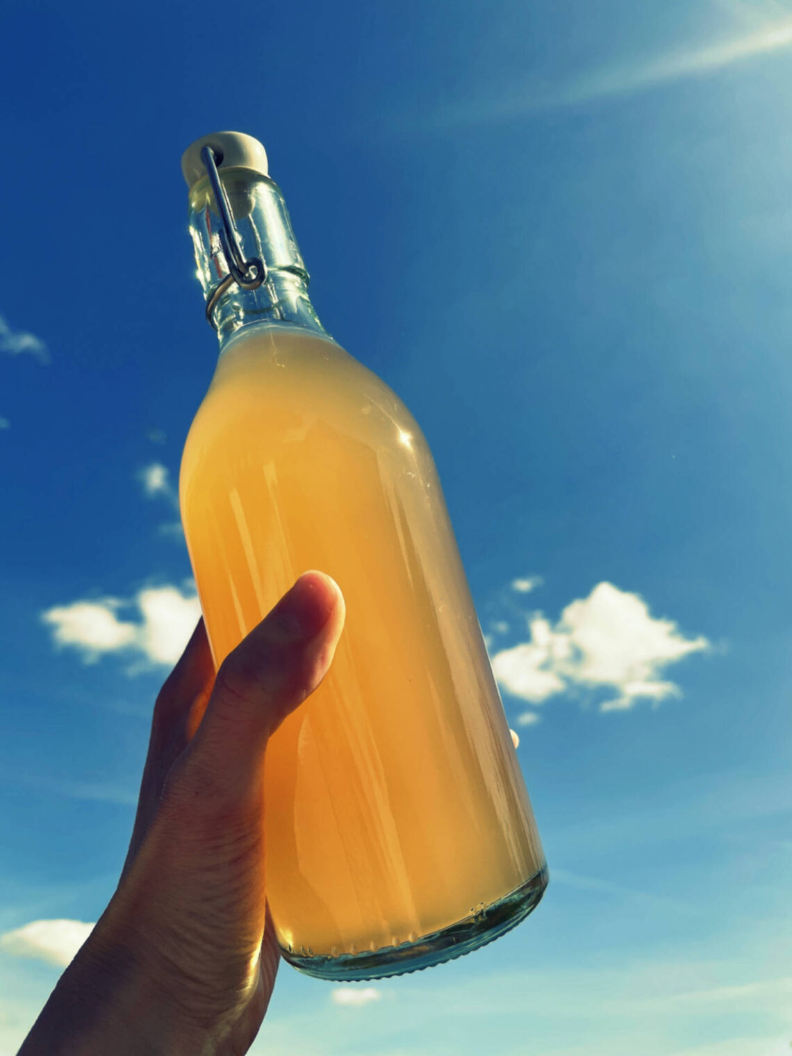 domowa kombucha