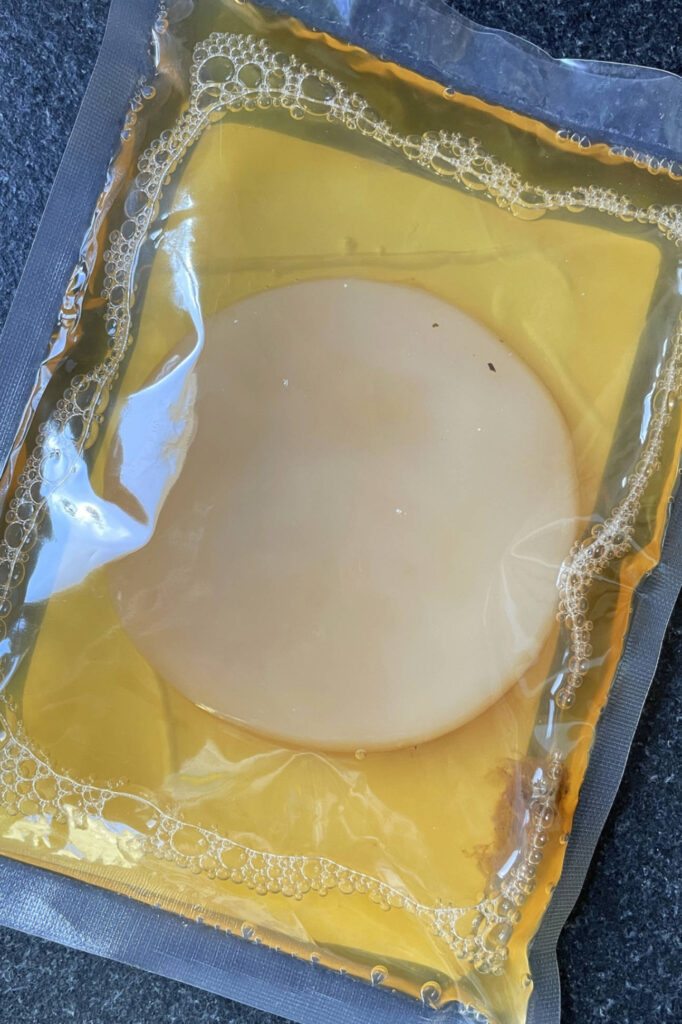 SCOBY - colonia simbiótica de levaduras y bacterias 