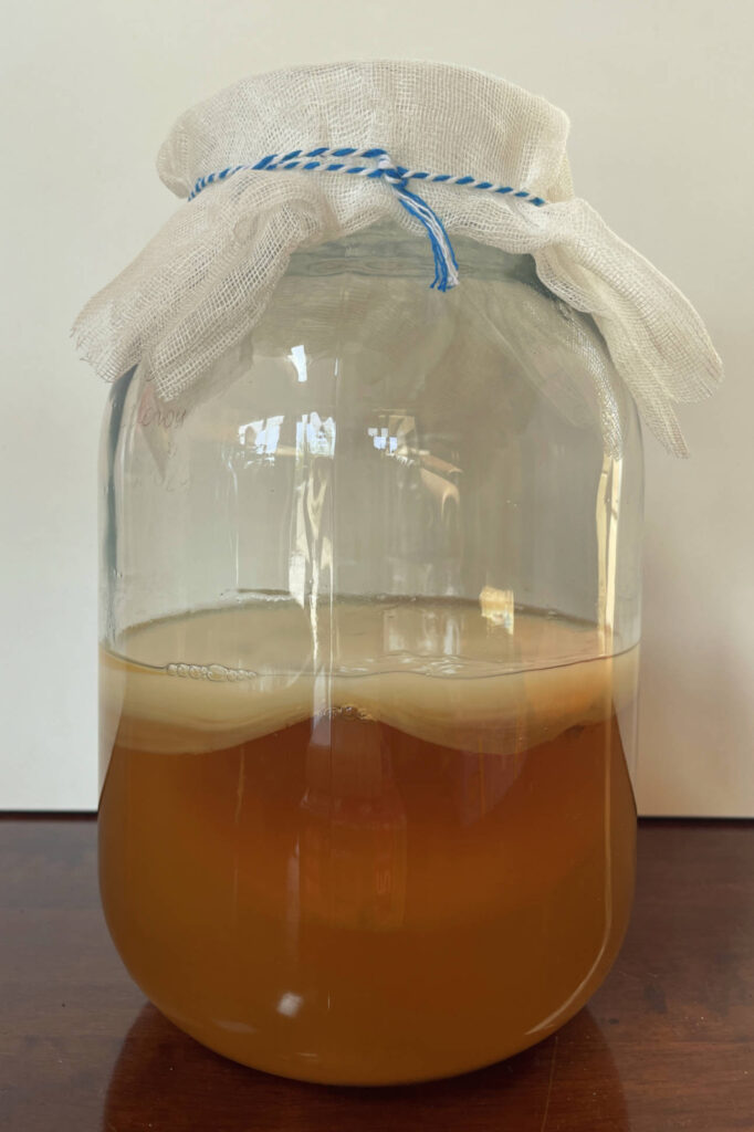 Kombucha en la base de té verde