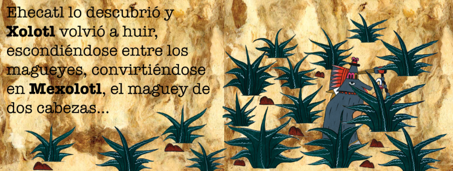 Xolotl-Ajolote-mexicano-criatura-súper-dotada
