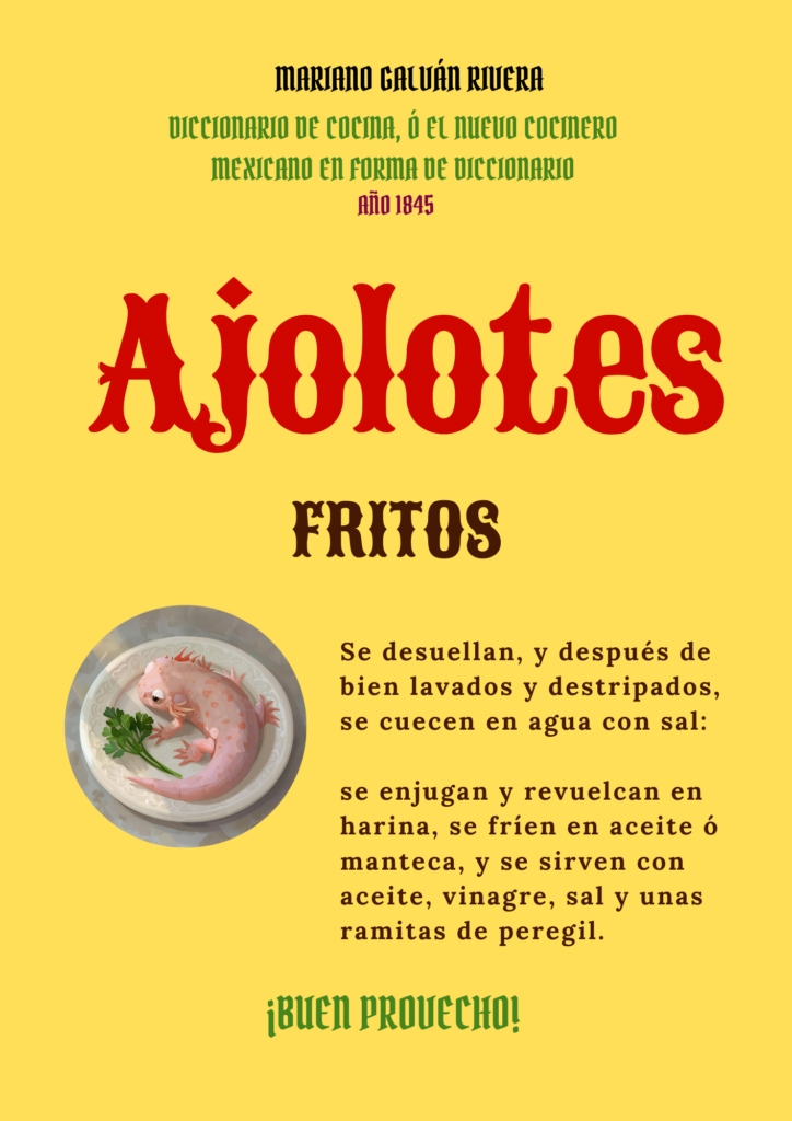 Mariano Galván Rivera, en su libro El nuevo cocinero mexicano… (1845) propone la receta para los ajolotes fritos