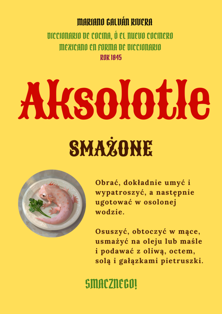 Przepis na smażone aksolotle z książki "Diccionario de cocina, ó El nuevo Cocinero mexicano en forma de diccionario"  Mariano Galván Rivera